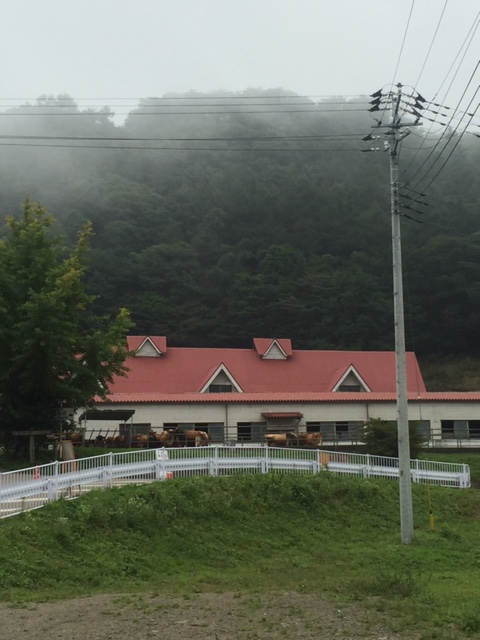 c0113910_1613385.jpg