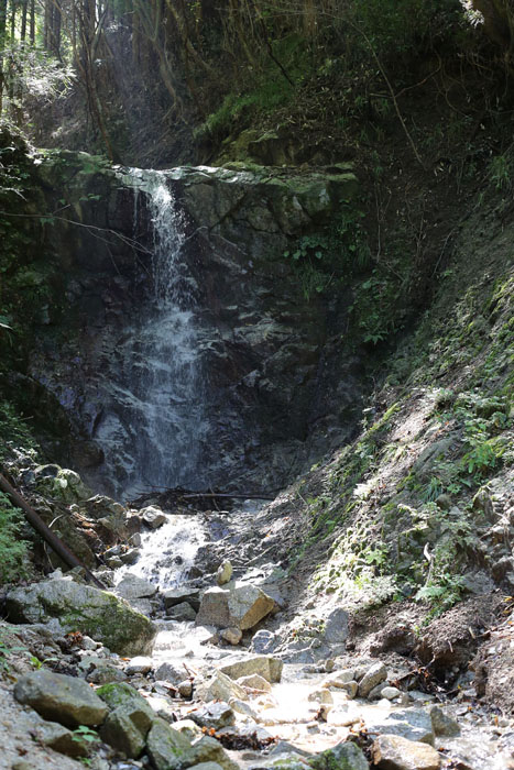 e0077010_17521251.jpg