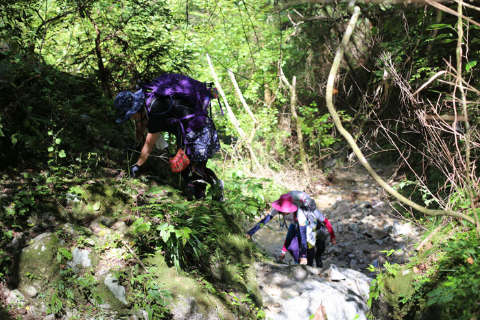 ５人で金剛山の丸滝谷(^o^)／_e0077010_17572093.jpg