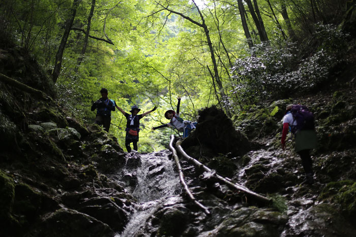 ５人で金剛山の丸滝谷(^o^)／_e0077010_17595978.jpg