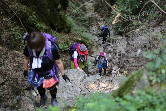 ５人で金剛山の丸滝谷(^o^)／_e0077010_1815576.jpg