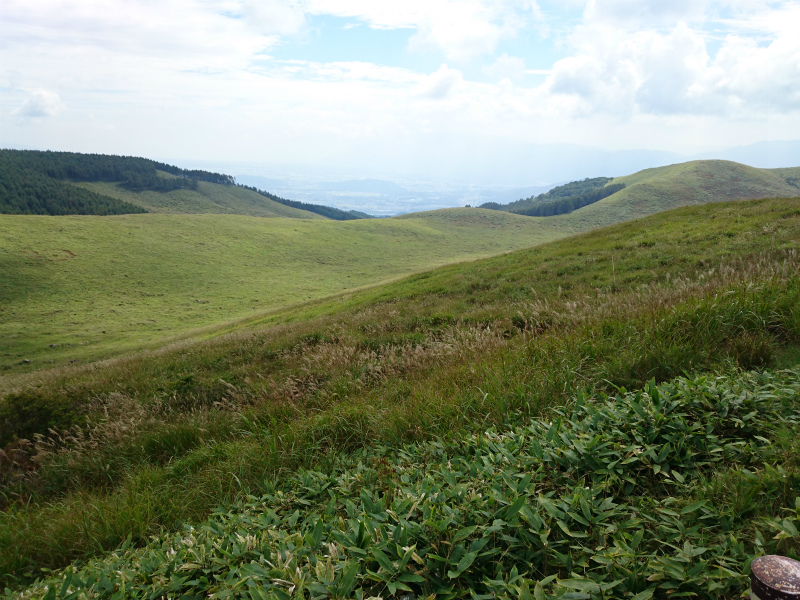 f0100911_211207.jpg