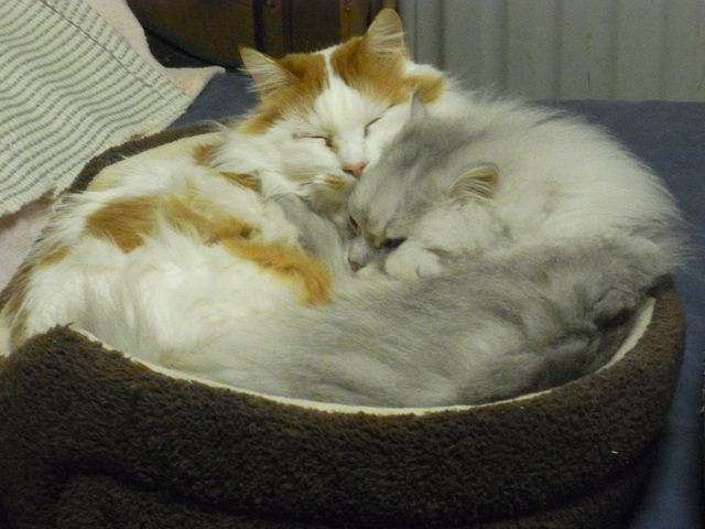 e0144012_14433368.jpg