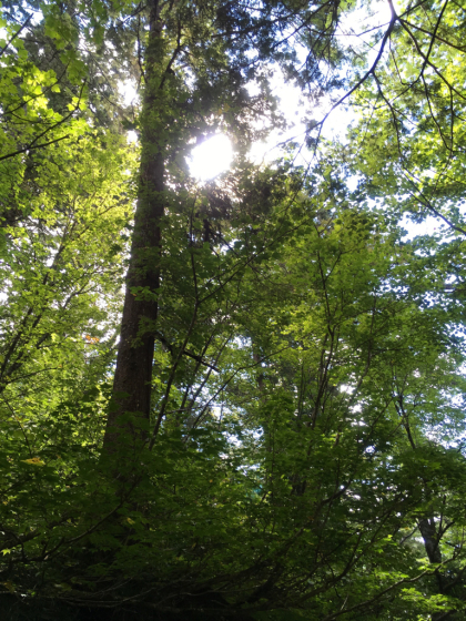 e0132713_13353722.jpg