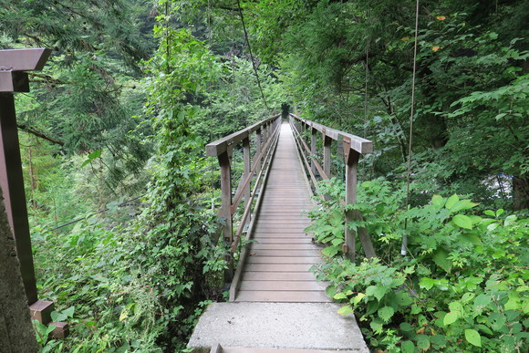 b0093515_1005572.jpg