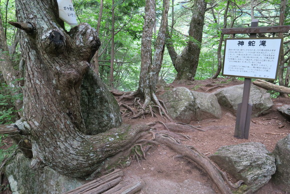 b0093515_10362815.jpg