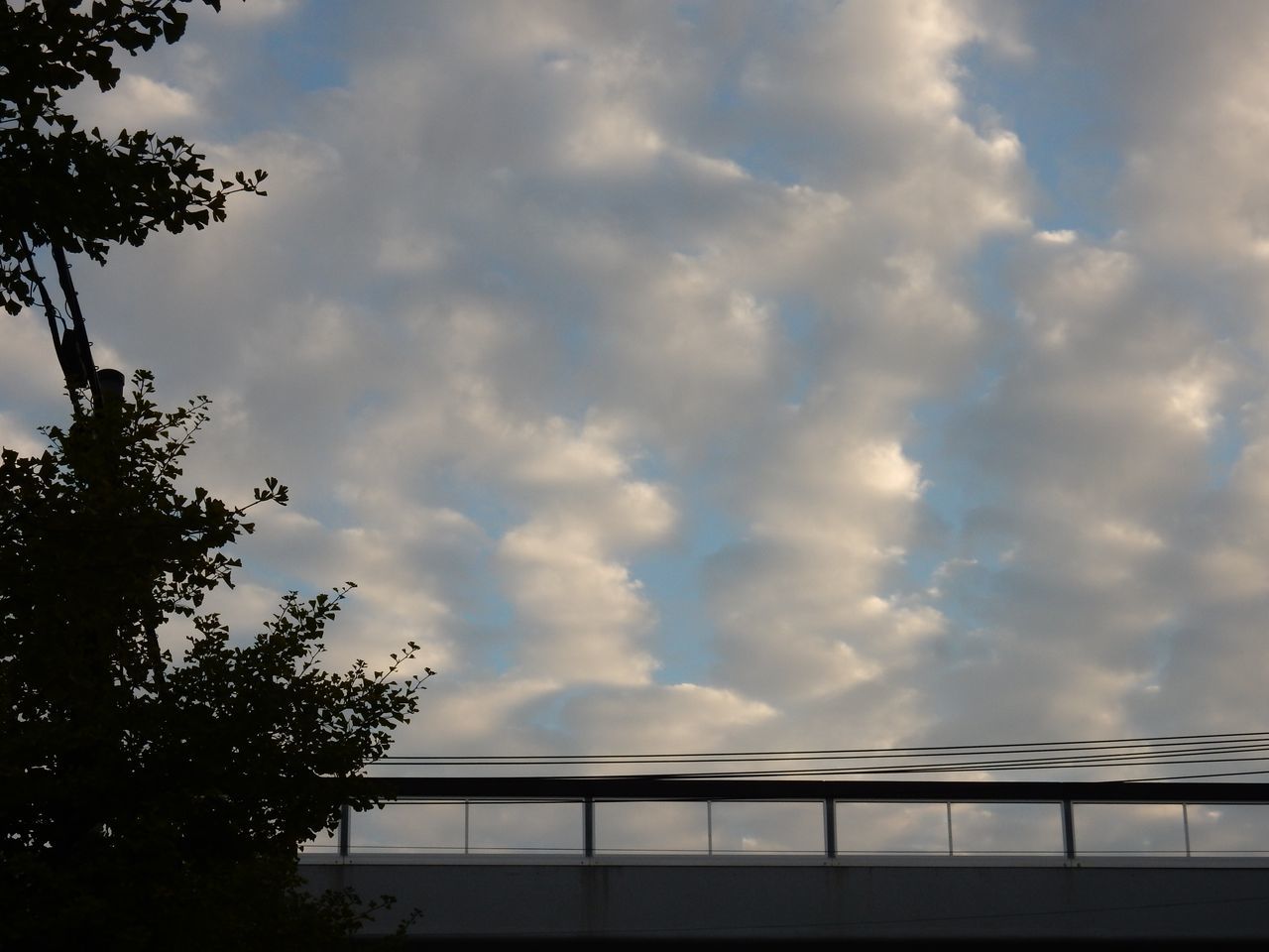 気温低下中_c0025115_21161781.jpg