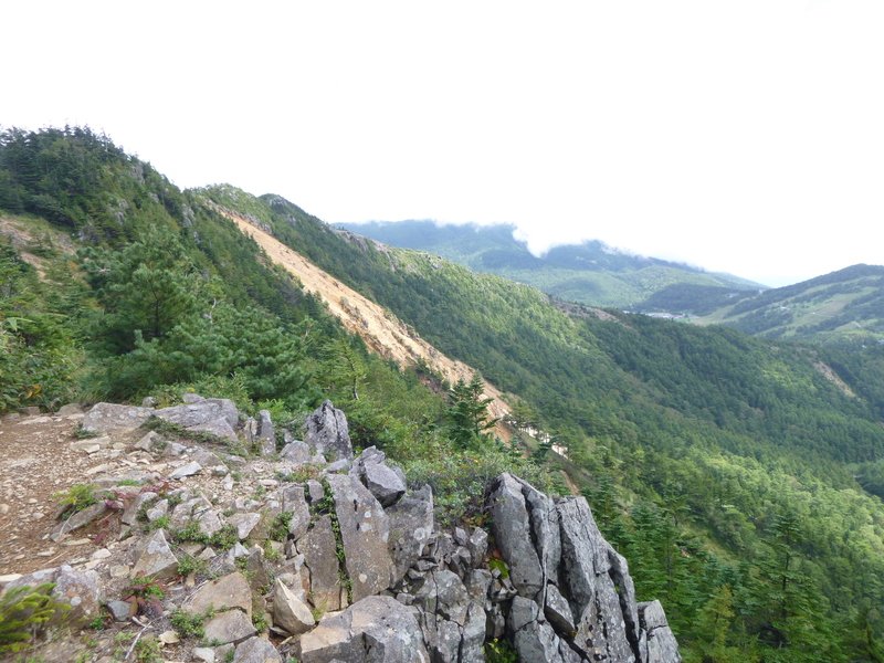 d0170615_1924164.jpg