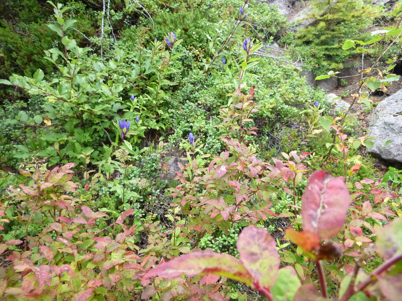 d0170615_1931777.jpg