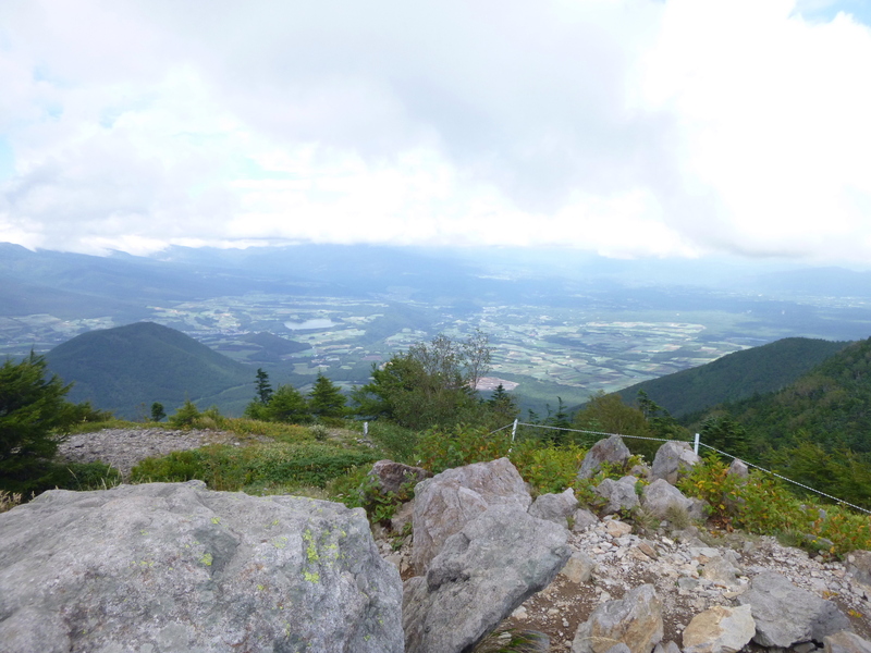d0170615_1951373.jpg