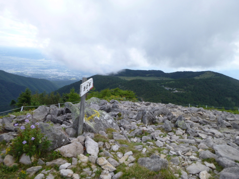 d0170615_1953063.jpg