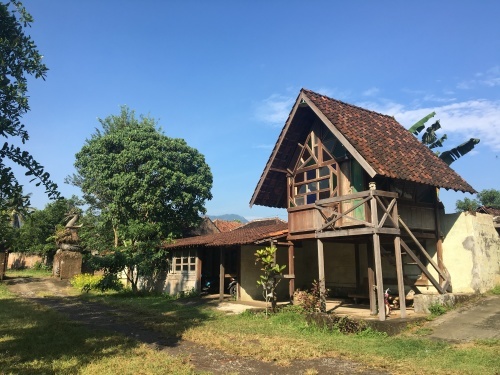 バリ島・ジャワ島 再来_f0201116_15592466.jpeg