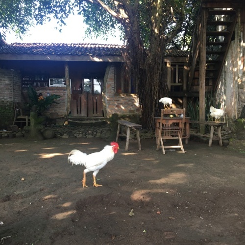 バリ島・ジャワ島 再来_f0201116_16034629.jpeg