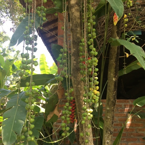 バリ島・ジャワ島 再来_f0201116_16080241.jpeg