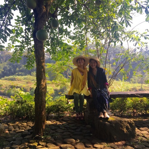 バリ島・ジャワ島 再来_f0201116_16251120.jpeg