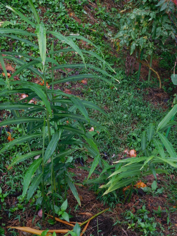 a0125419_08071130.jpg