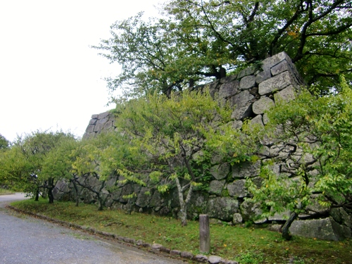 c0219820_2329521.jpg
