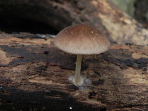 e0352220_09422890.jpg