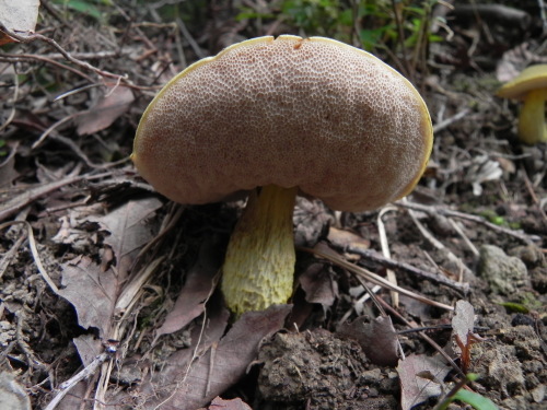 e0352220_09515599.jpg