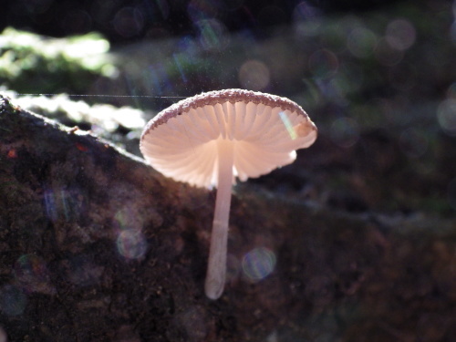 e0352220_10074318.jpg