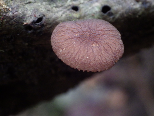 e0352220_10145453.jpg