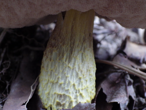 e0352220_10303252.jpg