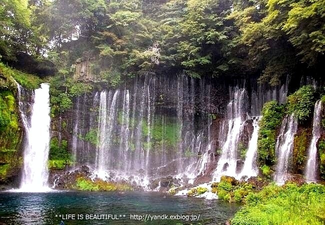 夏休み旅行@河口湖*2016⑥_d0083623_2150475.jpg