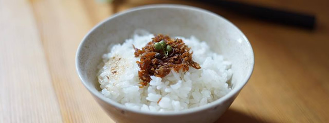 新しく4名の方が「プラチナブロガー」に追加されました。_f0357923_12491568.jpg