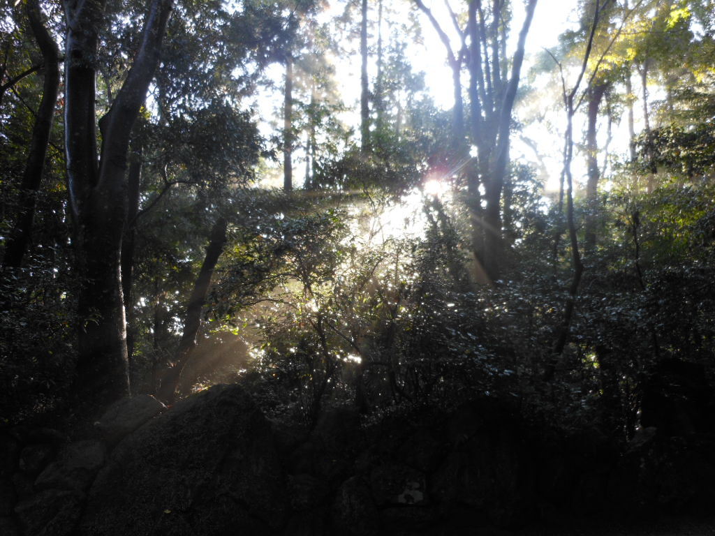 c0155326_22433487.jpg