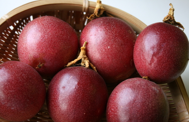 パッションフルーツ食べ頃 のどかに