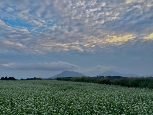 b0173137_10430079.jpg