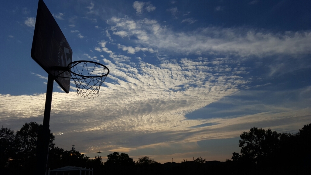 蜻蛉池公園の夕景_f0330437_23204559.jpg