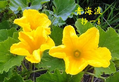 与謝野晶子≪青海波≫抄－8 : Merrydiary