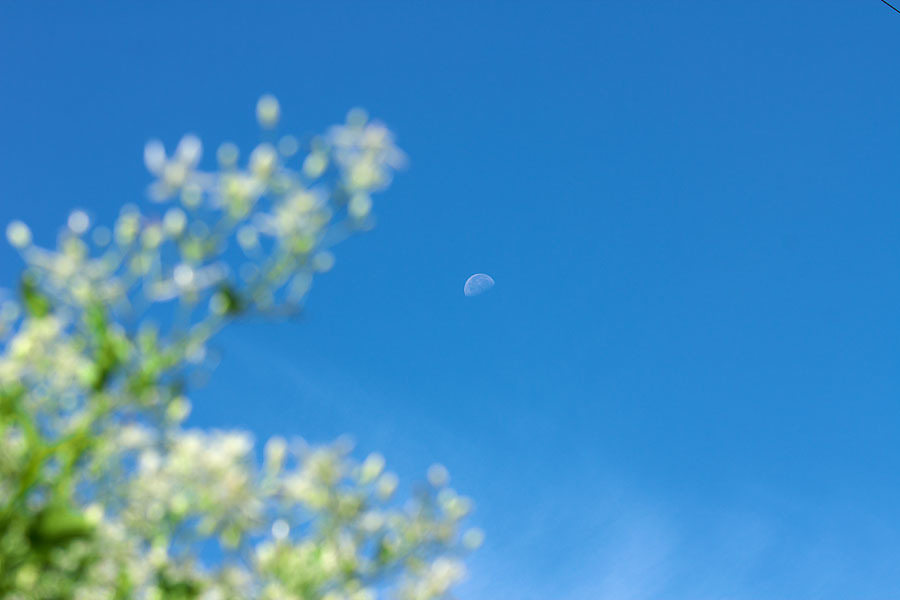 c0067040_22554971.jpg
