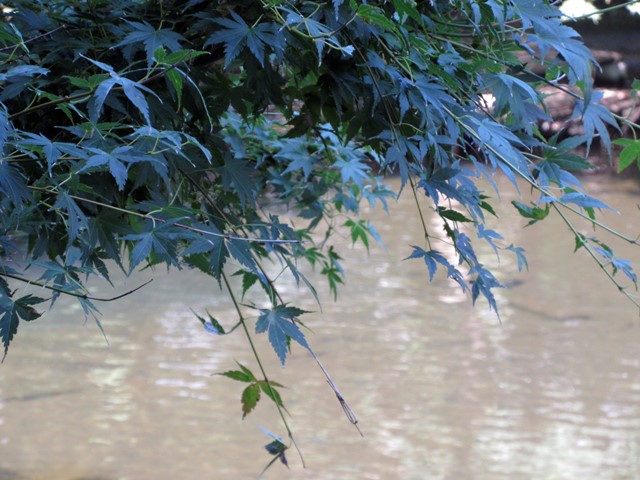 b0009849_9173657.jpg
