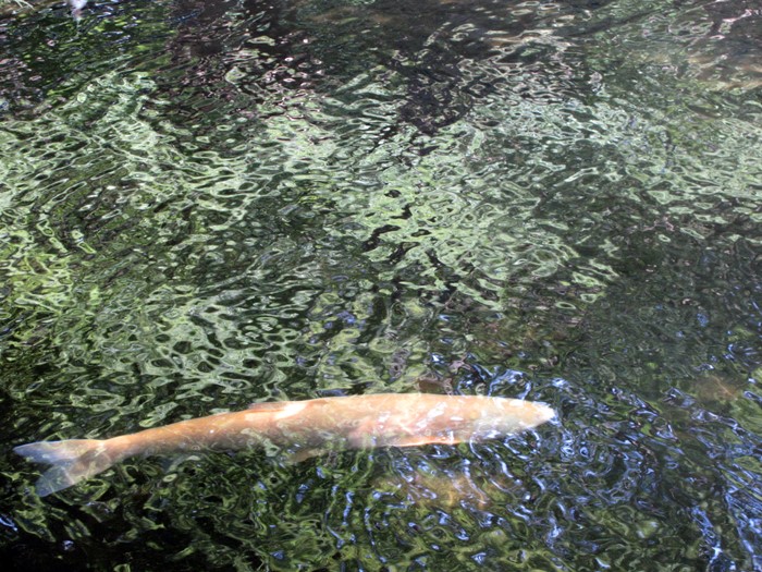 b0009849_9174387.jpg