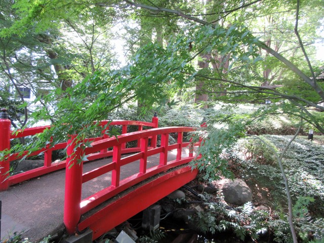 b0009849_922068.jpg