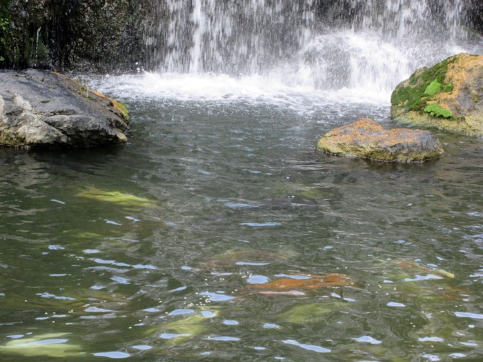 b0009849_92438.jpg