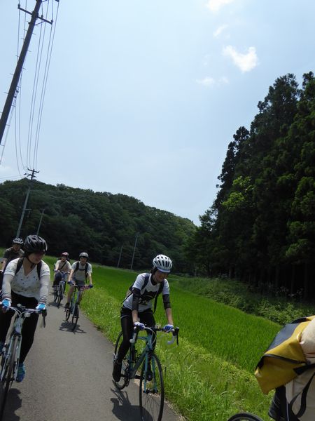 e0140354_1051461.jpg