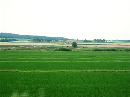 e0044657_2238153.jpg