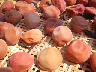 f0374160_17153645.jpg