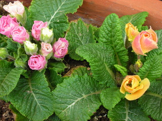 f0374160_17175866.jpg