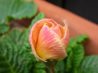 f0374160_17175889.jpg