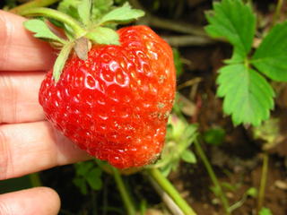 f0374160_17184841.jpg
