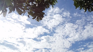 暑さが堪えますね( 」´0`)」_f0374160_17194573.jpg