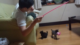 はじめまして(=‘x‘=)×2です♪_f0374160_17195421.jpg