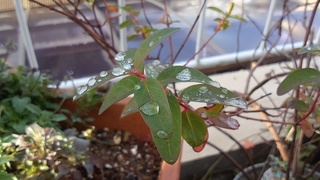 年内最後の陶芸教室♪_f0374160_17205874.jpg
