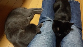 陶芸とポーチの続き♪_f0374160_17213915.jpg