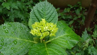 f0374160_17224855.jpg