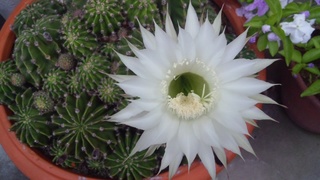 f0374160_17225067.jpg